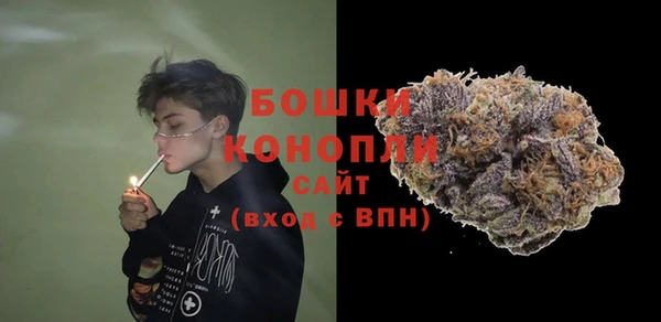 эйфоретик Щигры