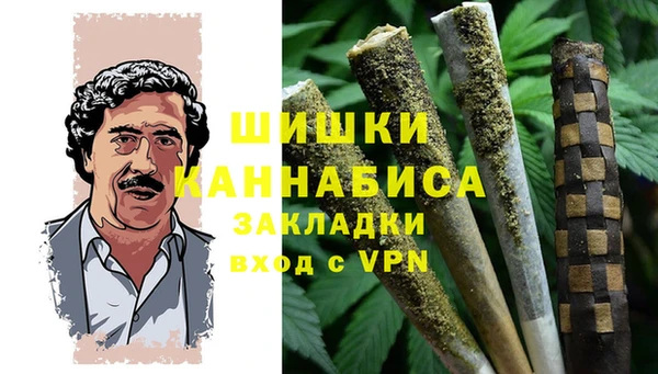 стаф Щёлкино