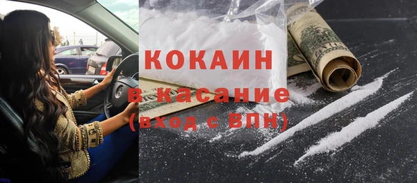крисы Каменногорск