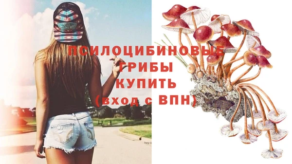 каннабис Каменка