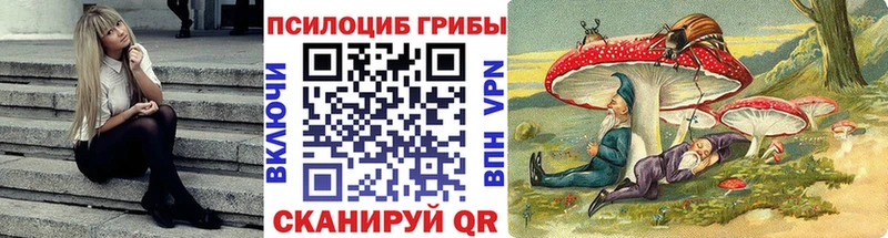 хочу наркоту Краснослободск Галлюциногенные грибы Psilocybe